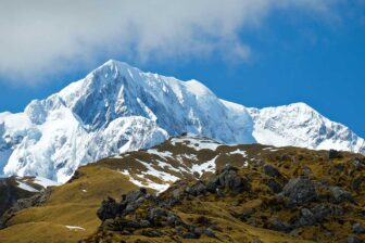 Les glaciers du Westland