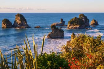 La côte ouest de l'île du sud
