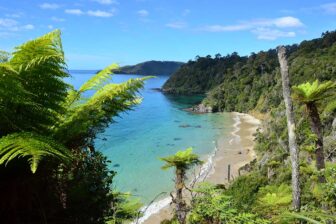 Stewart Island