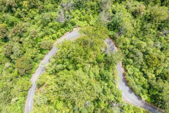 Waipoua et la côte Ouest