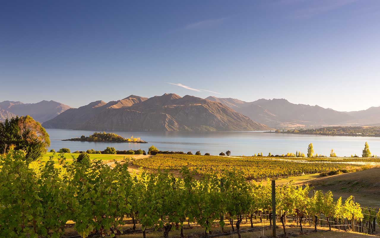 Wanaka voyage, circuits, guide, activités New Zealand Roads