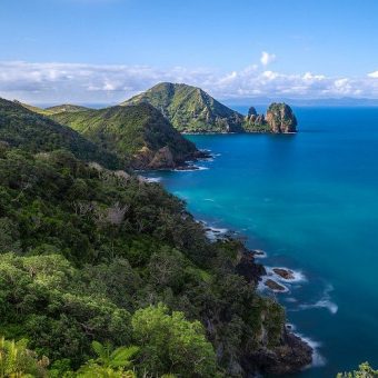 Hôtels à Coromandel