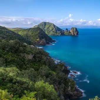 Hôtels à Coromandel