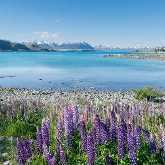 Hôtels à Lake Tekapo
