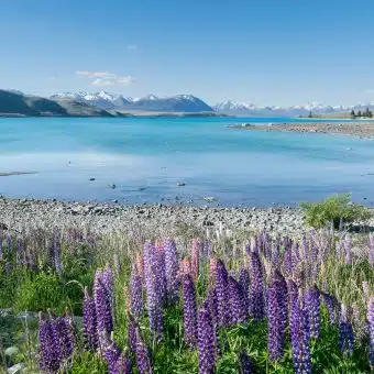 Hôtels à Lake Tekapo
