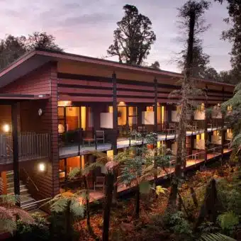 Te Waonui Forest